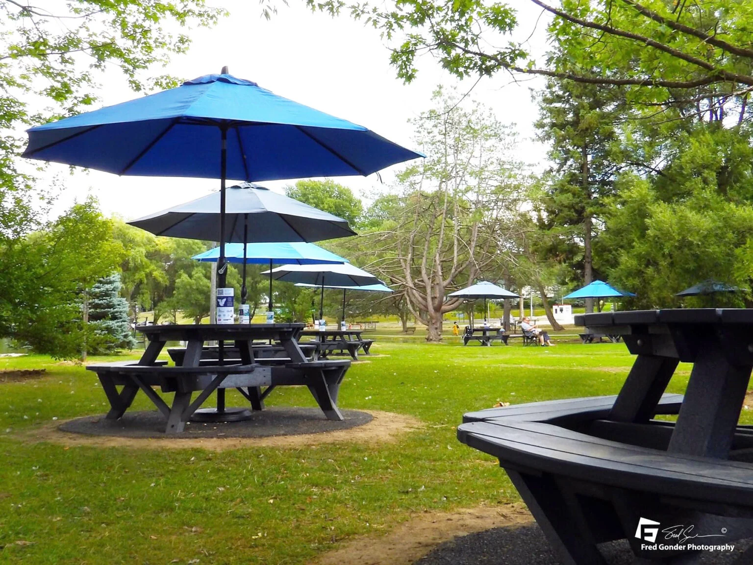 T50 51" Round Picnic Table in Slate Grey